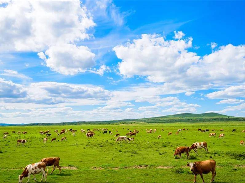 内蒙古,草原之魂,商机无限之地
