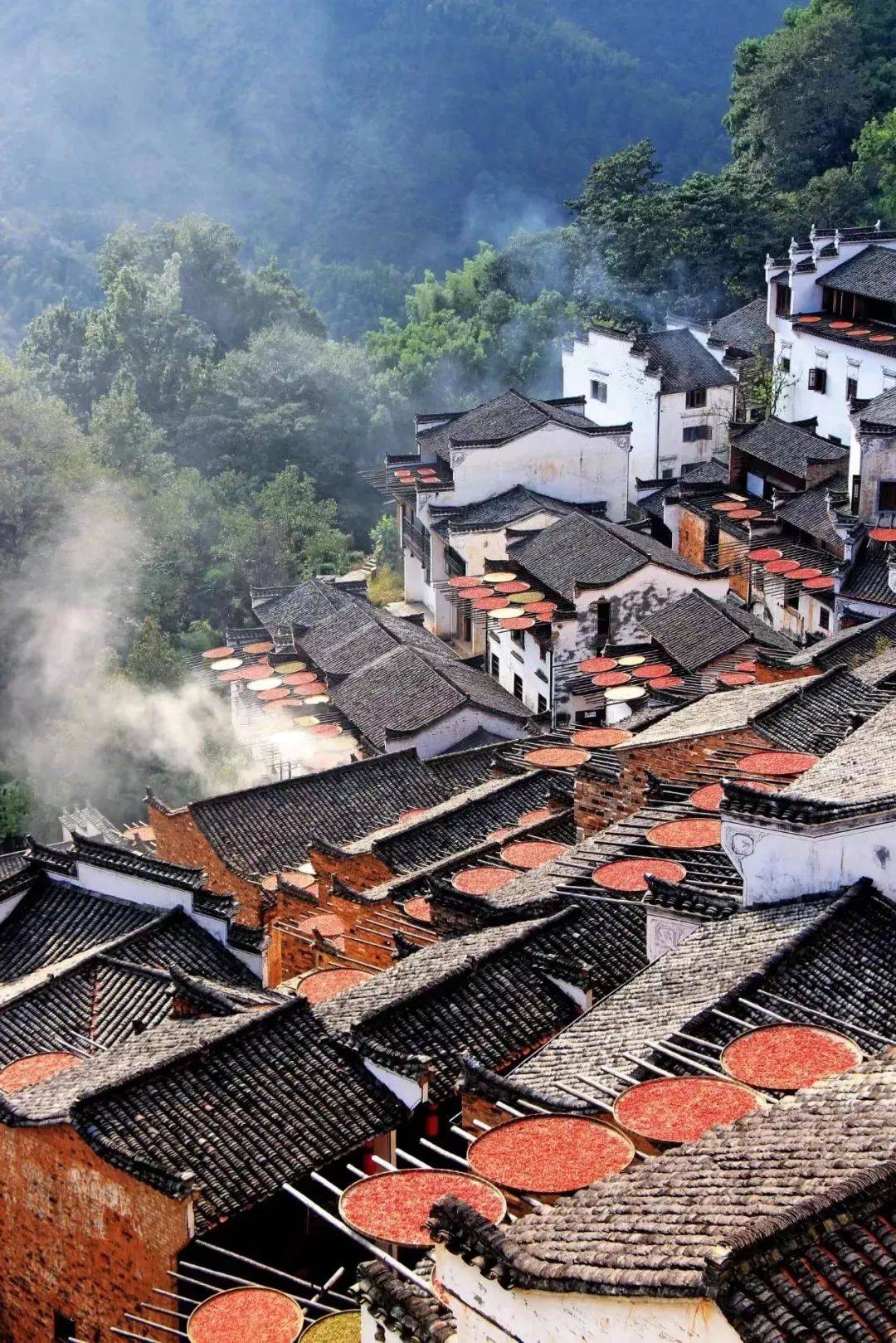 江西，历史底蕴与现代魅力的交织之地揭秘探秘之旅
