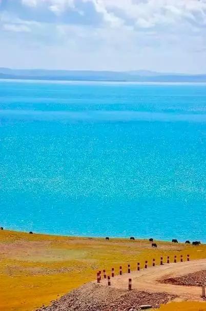 青海，地理、历史与文化的深度探索