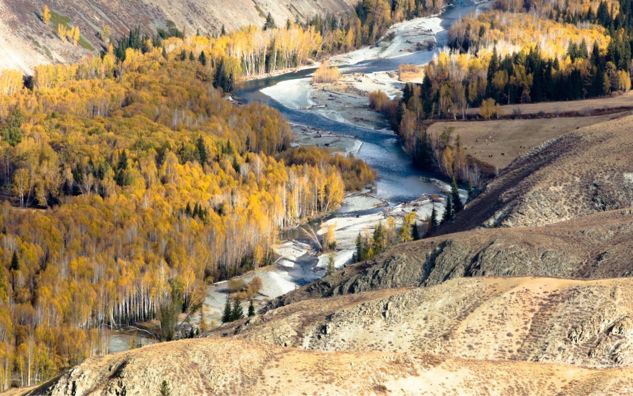 新疆,丝绸之路上的多元文化瑰宝